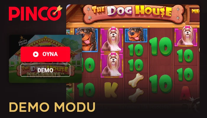 Pinco Casino'da The Dog House Megaways demo modu nasıl çalışır